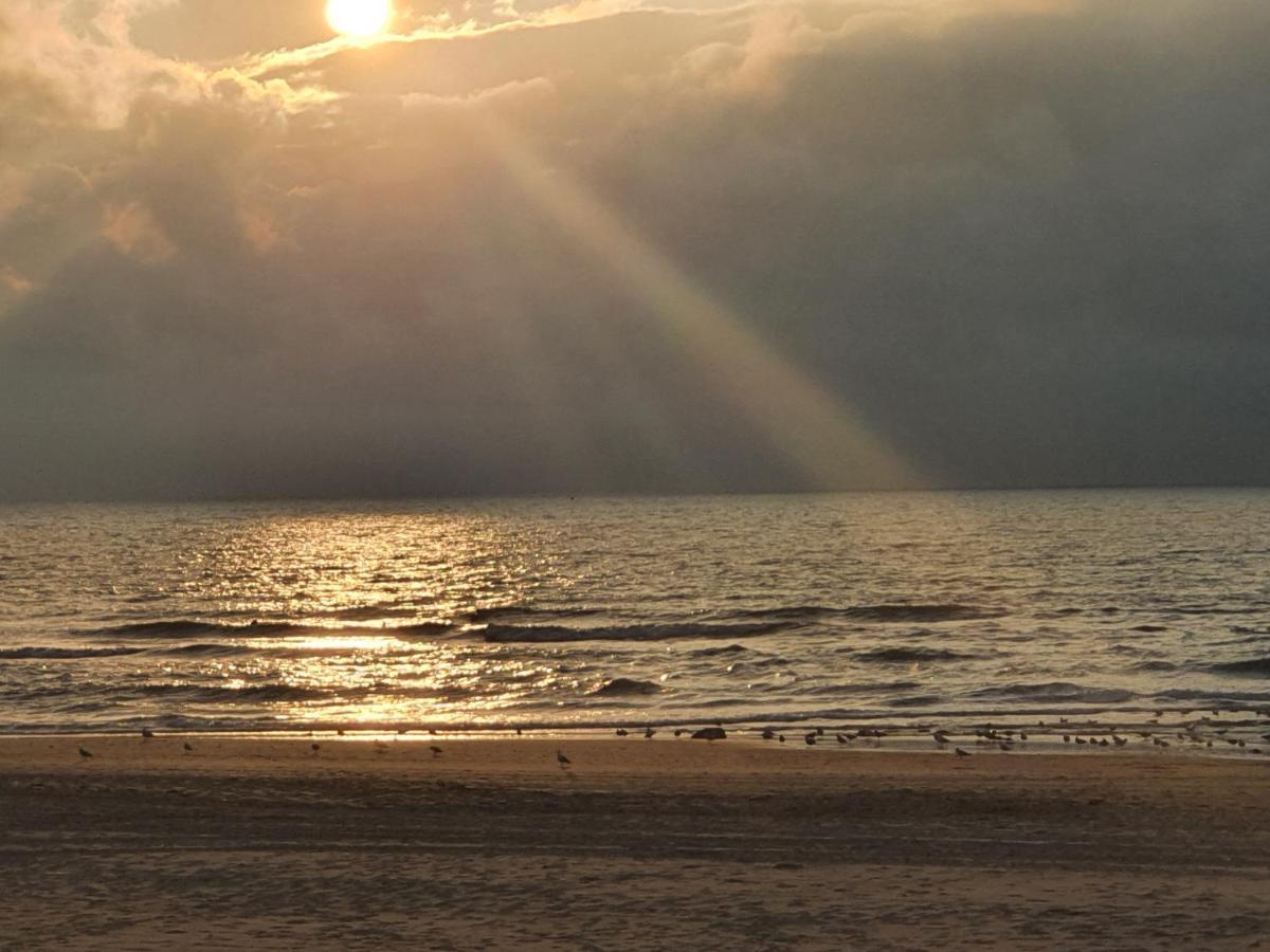 Scheveningen Sea Side Bed & Breakfast Lahey Dış mekan fotoğraf
